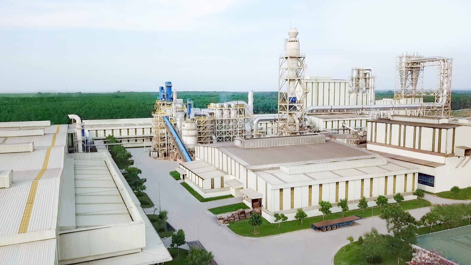 Tán rừng thông xanh đậm nhìn từ trên cao